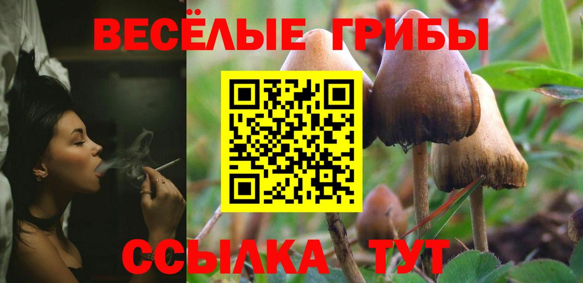 Гагарин  Псилоцибиновые грибы мухоморы  Псилоцибиновые грибы GOLDEN TEACHER  Вход с VPN 