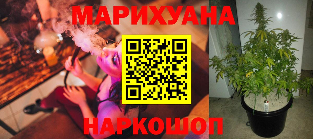 Марихуана конопля  Вход с VPN  Гагарин  Марихуана план  Марихуана сатива  Канабис ГИДРОПОН 